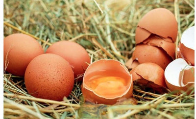 Proteinprocent i fødevarer