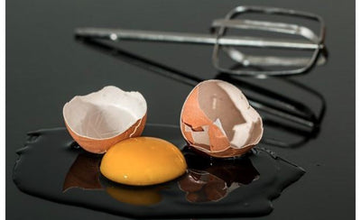 Proteinbiologisk værdi