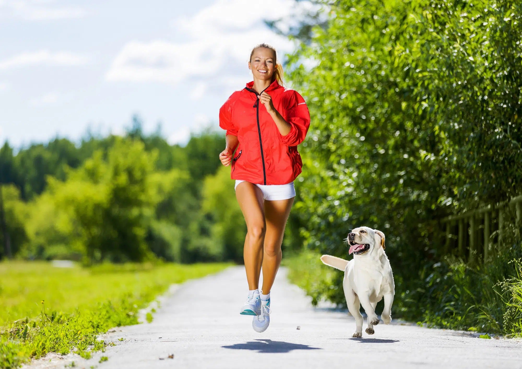 Hvor meget motion skal din hund bruge pr dag for at have det godt?