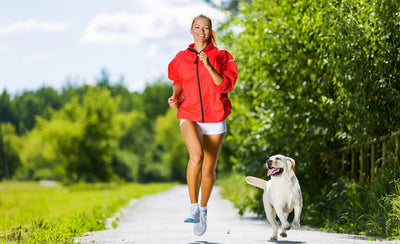 Hvor meget motion skal din hund bruge pr dag for at have det godt?