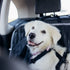 Sådan rejser du med din hund eller kat i bil eller offentlig transport